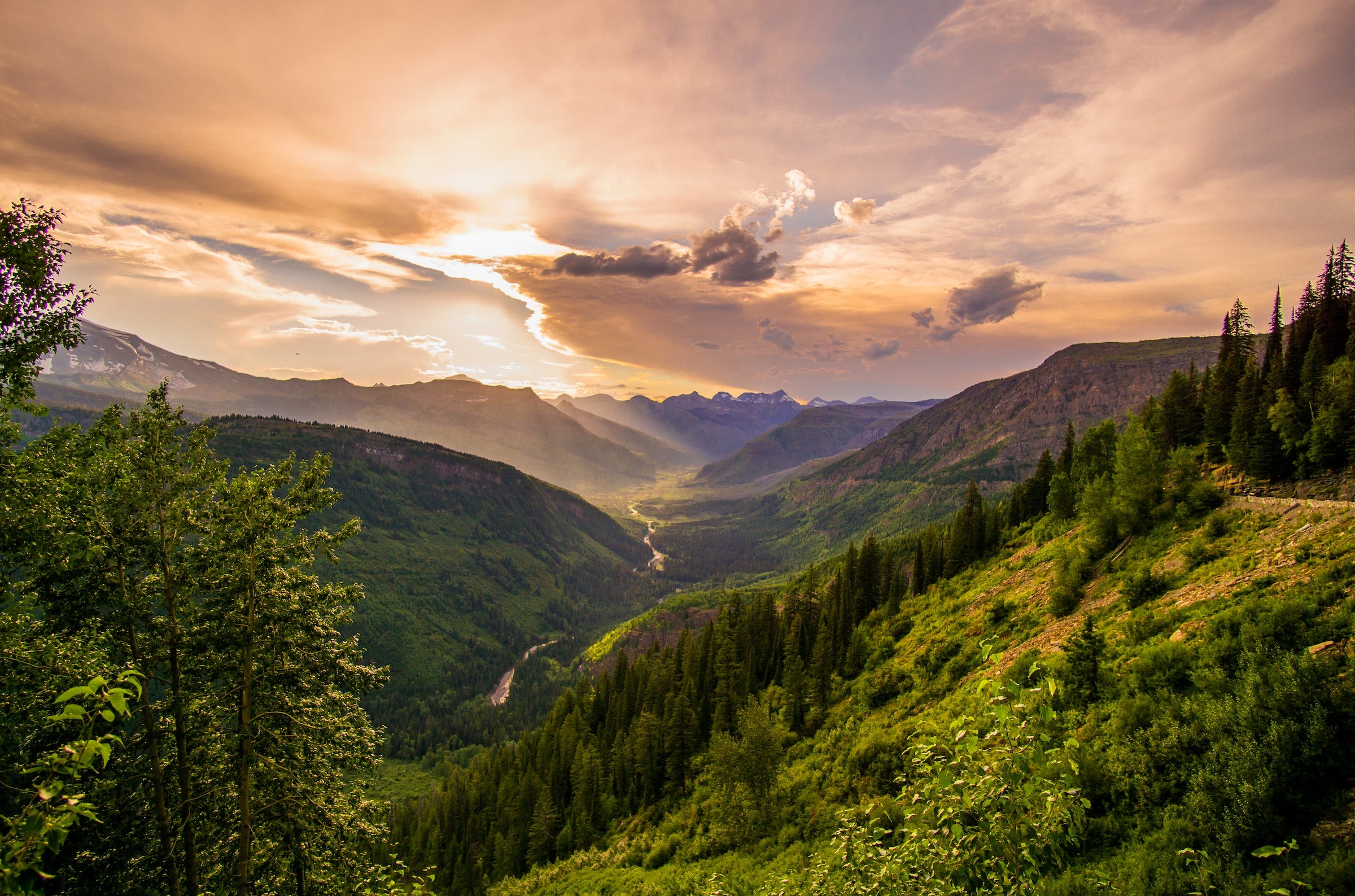 mountain scene in montana