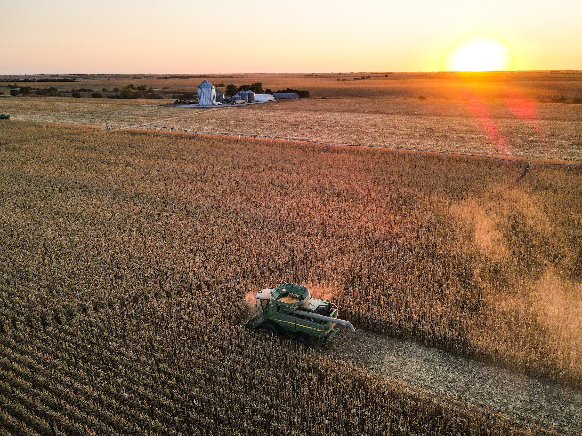 harvester in corn field