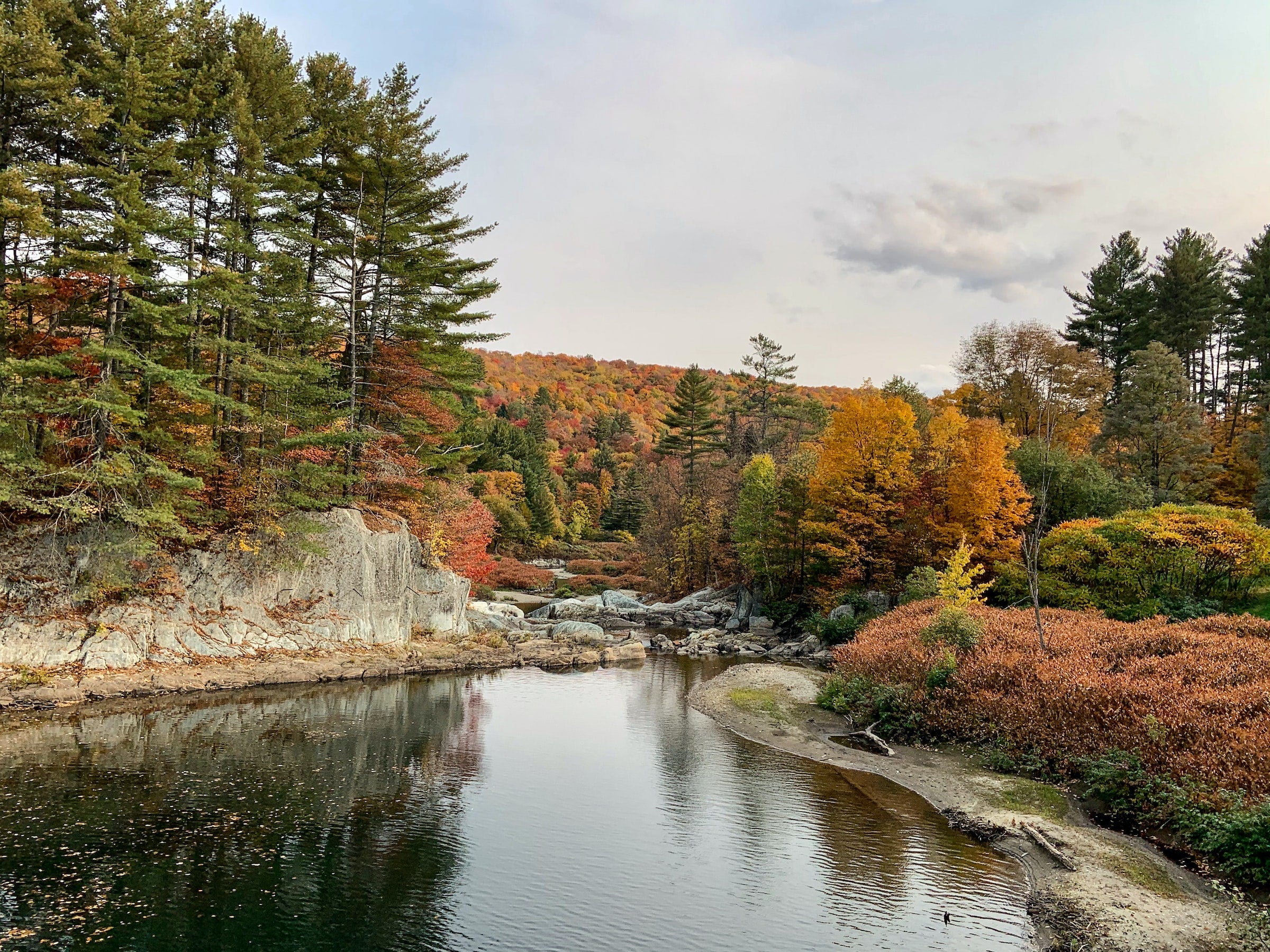 trees and river in fall in vermont