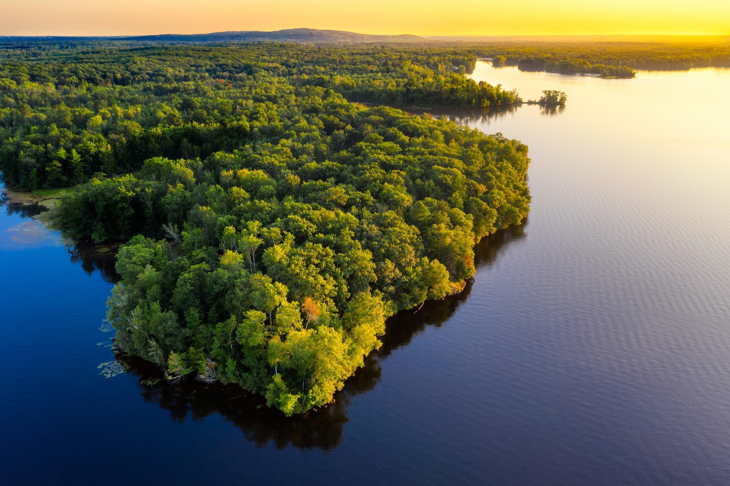 lake and trees in wisconsin